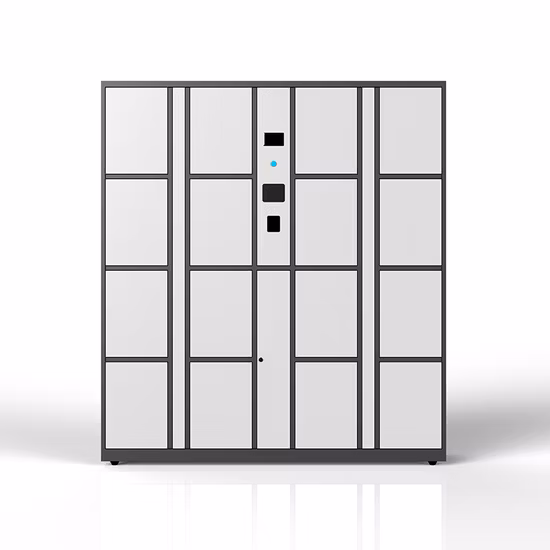 冷蔵食品 食料品店 クール冷凍温度